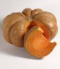 Courge musquée de Provence BIO sachet 4 g