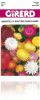 Immortelle à bractées sachet  1 g