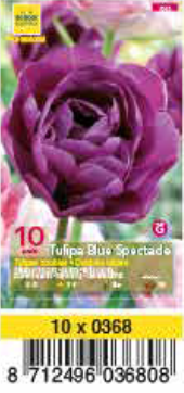 TULIPE DOUBLE HATIVE 12+ Blue Spectacle Pochette de 10 - code G