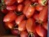 Tomate Roma V.F. Pqt 25 g
