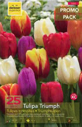 Tulipe Triomphe 11+ mélange par 25 PROMO-PACK