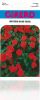 Impatiens naine rouge sachet 0,2 g