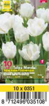 TULIPE DOUBLE HATIVE 12+ Mondial Pochette de 10