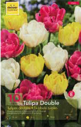 Tulipe Double Hative 12+ en mélange Pochette de 10 - code E