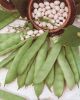 HARICOT NAIN Coco blanc précoce boîte 200 g