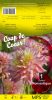DAHLIA CACTUS Romantique rose pastel Pochette - code A