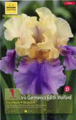 Iris Germanica Edith Wolford Pochette de 1 -  code D