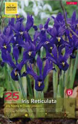 Iris Ruticulata bleu 6+ Pochette de 25 - code C