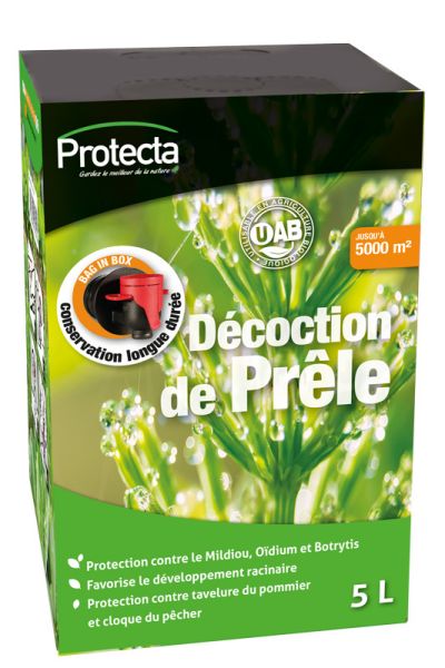 Décoction de Prêle Prêt à l'emploi I Protège les plantes des insectes et  champignons