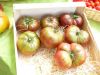 TOMATE Noire de Crimée Pqt  25 g