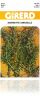 Sarriette annuelle sachet  2 g