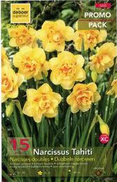 Narcisses doubles Tahiti jaune/orange par 15 PROMO-PACK