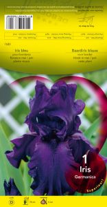 Iris Germanica Blue Pearl Pochette de 1 -  code D