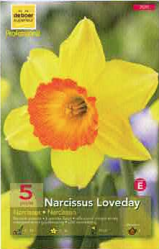 Narcisse Love Day Pochette de 5 - code E