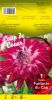 DAHLIA CACTUS Split Fantaste du Cap rose vif  Pochette - code B