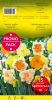 NARCISSES doubles Tahiti jaune/orange par 15 PROMO-PACK
