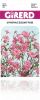 Gypsophile élégant rose sachet  3 g