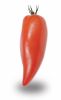 Tomate Cornue des Andes Pqt 1 g