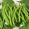 HARICOT NAIN Mangetout RECITAL Pqt 1 kg