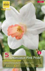 Narcisse Pink Pride Pochette de 5 - code E