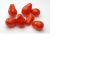 TOMATE Red Pear à petit fruit  Pqt 1 g