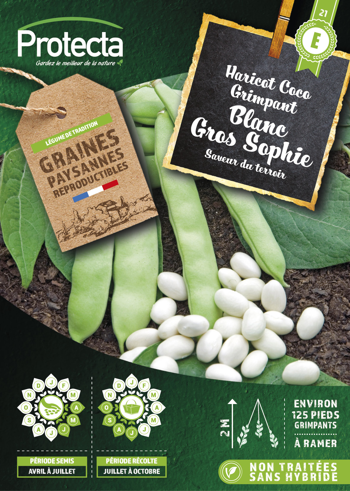 Haricot à rames Coco blanc Sophie Boîte 125g