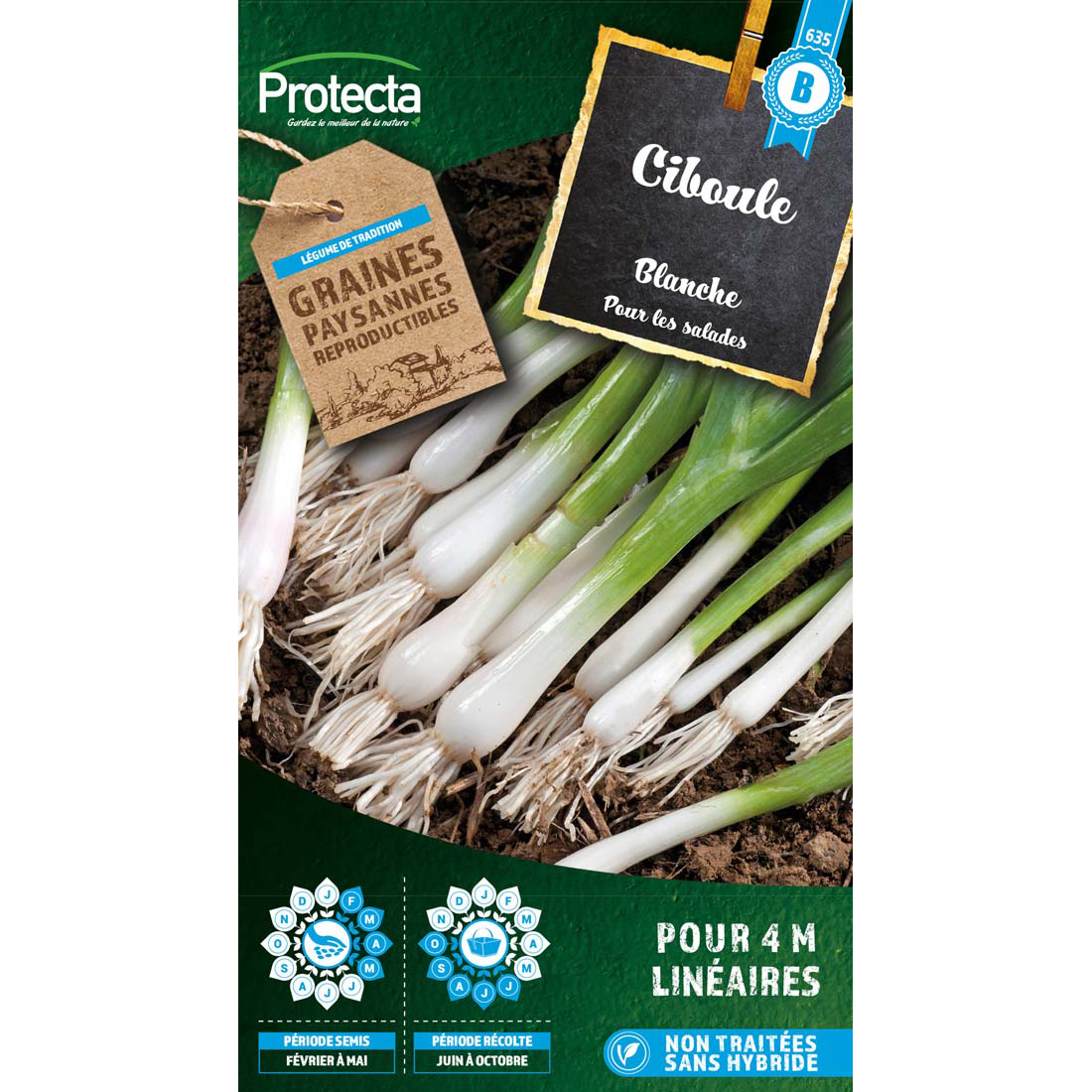 Ciboule blanche sachet 2g