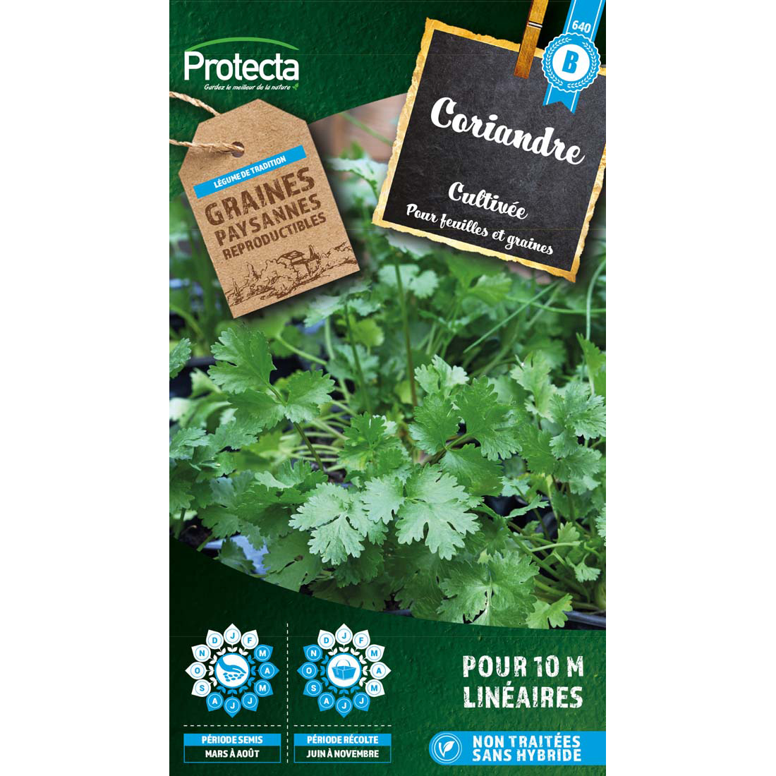 Coriandre cultivée (à grosse graines, rapide à monter) sachet 5g