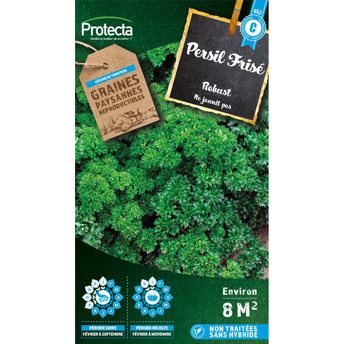 Persil frisé vert foncé Robust