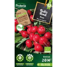 RADIS ROND ROUGE SAXA BIO