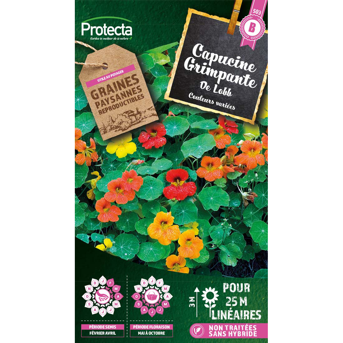 Capucine Grande simple de Lobb variée sachet 4 g