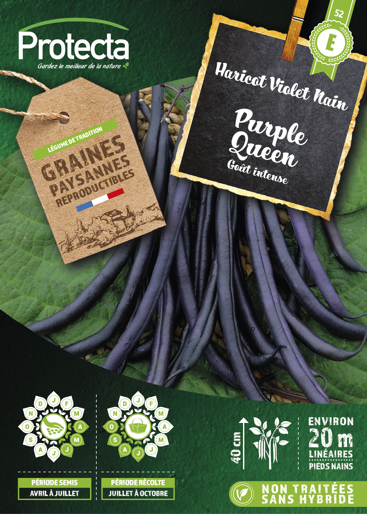 Haricot nain mangetout Purple Queen gousse violette Boîte 125g
