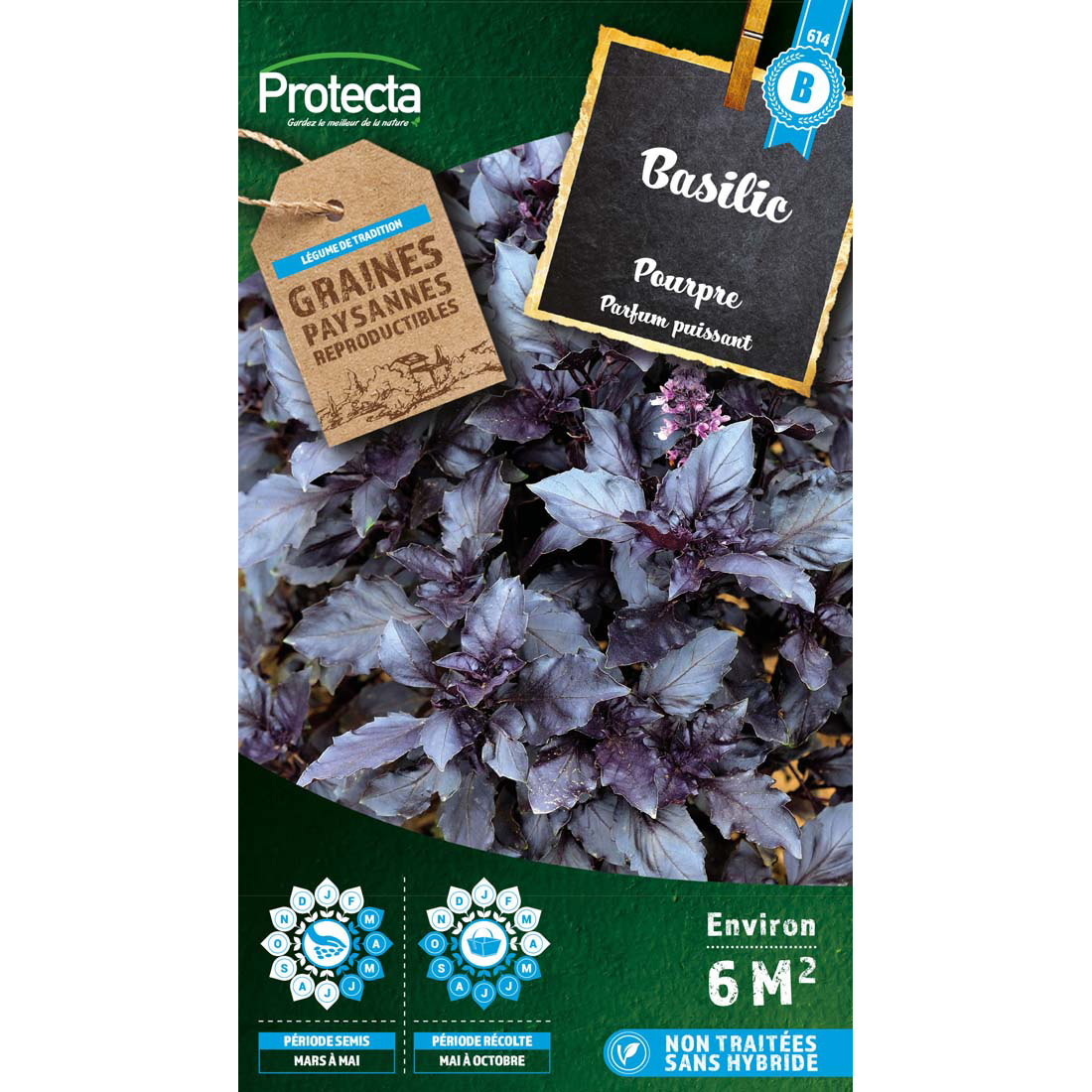 Basilic Pourpre sachet 2g