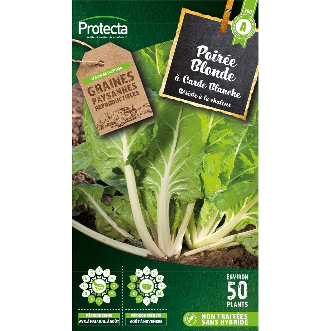 Poirée blonde à Carde blanche 2