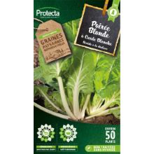 Poirée blonde à Carde blanche 2