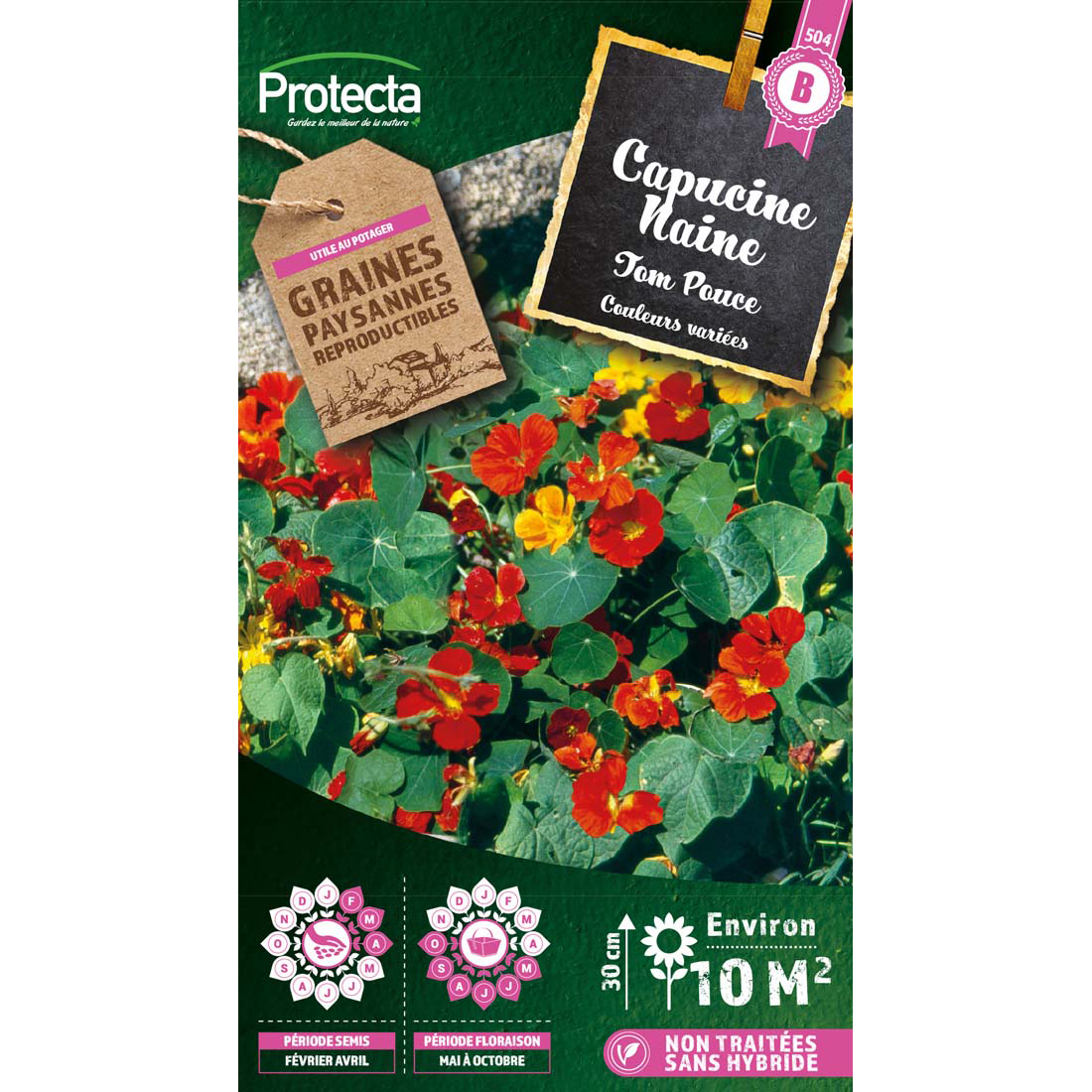 Capucine Naine Tom Pouce simple mélange sachet 4g