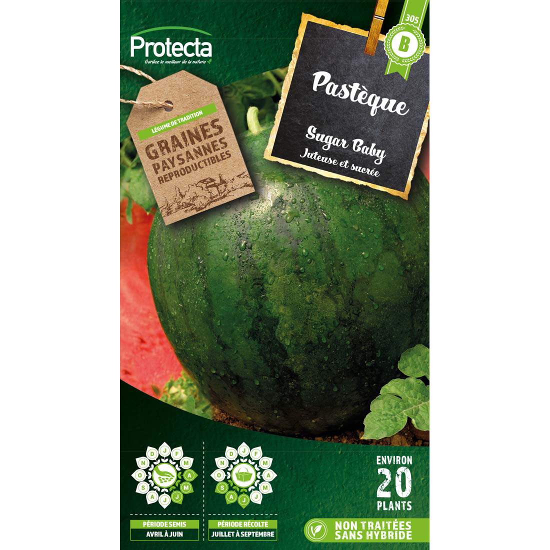 Pastèque Sugar Baby