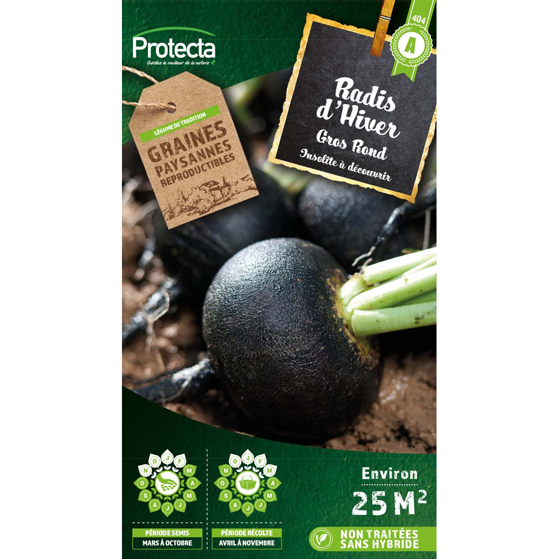 RADIS NOIR GROS ROND D'HIVER