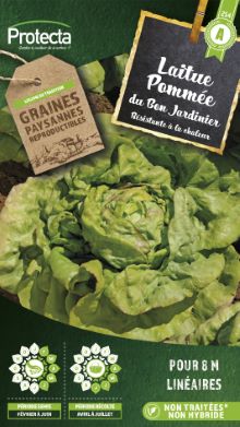 Laitue pommée du bon jardinier sachet 4g