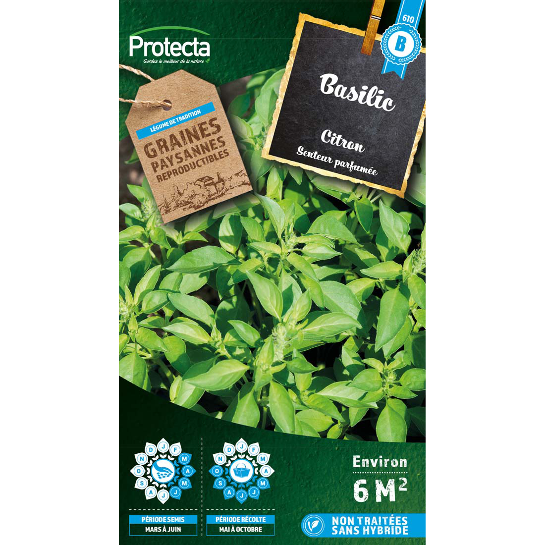 Basilic Citron sachet 2g