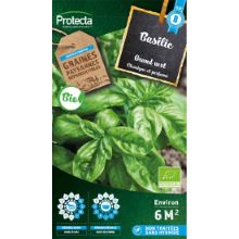 Basilic Grand vert BIO sachet 2g