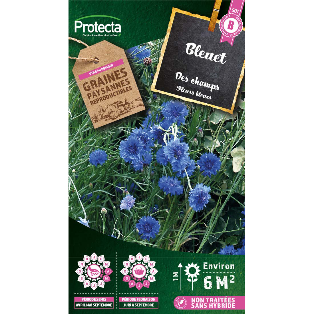 Bleuet des champs - centaurea cyanus sachet  2 g