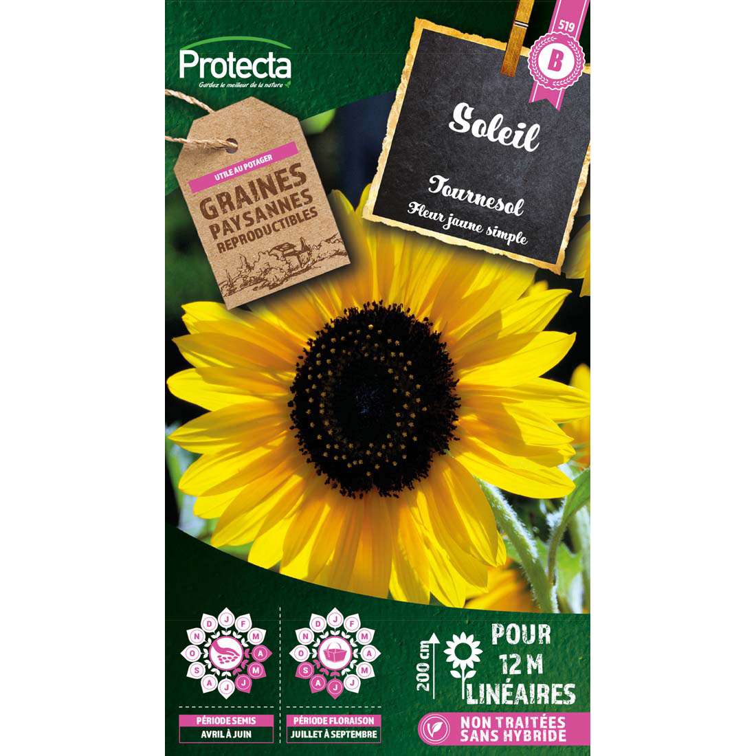 Soleil Tournesol simple jaune