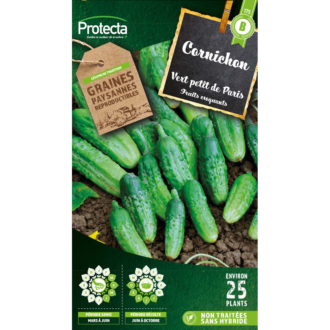 Cornichon vert Petit de Paris sachet 3g