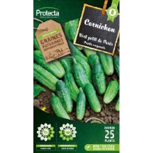 CORNICHON VERT PETIT DE PARIS