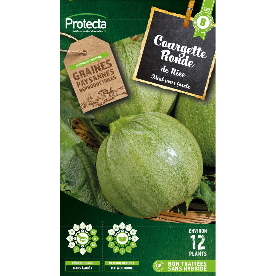 Courgette de Nice à fruit rond