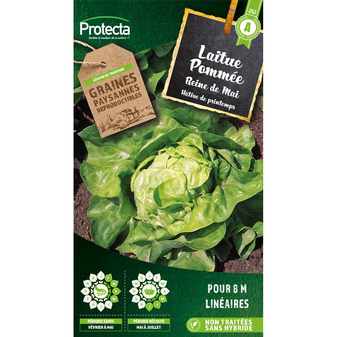 Laitue Reine de Mai sachet 4g