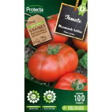 TOMATE MARMANDE HÂTIVE