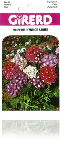 VERVEINE HYBRIDE variée Pqt  25 g