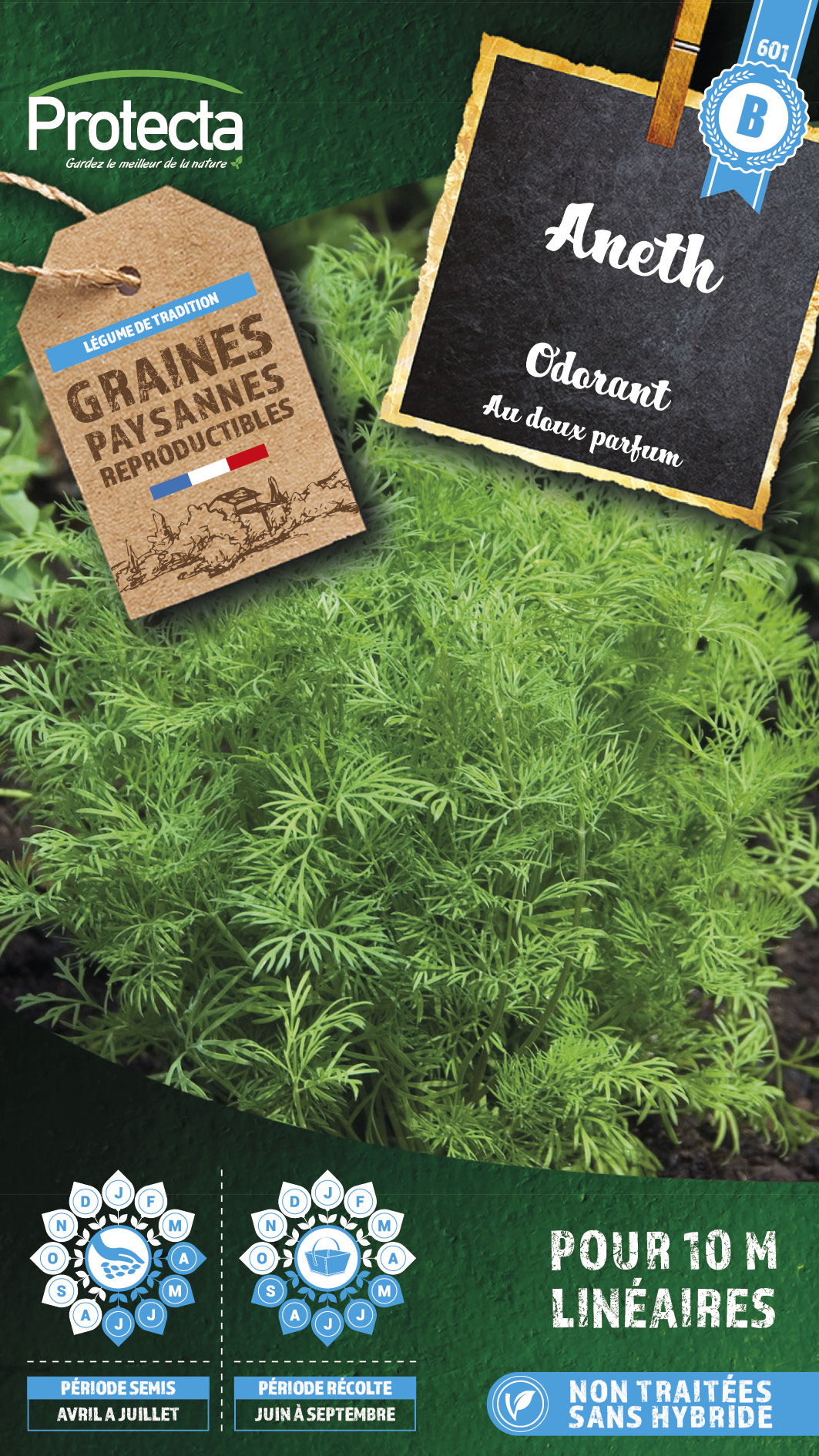 Aneth odorant (Anethum graveolens) sachet 4 g